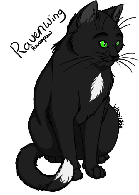 Warriors Cats - Ravenpaw by AnimalLover4Ever on DeviantArt