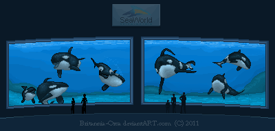 Orlando Orca Pixel Tank