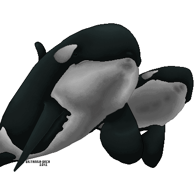 Orca Bitmap Image Large Orca pixel by Britannia-Orca on DeviantArt