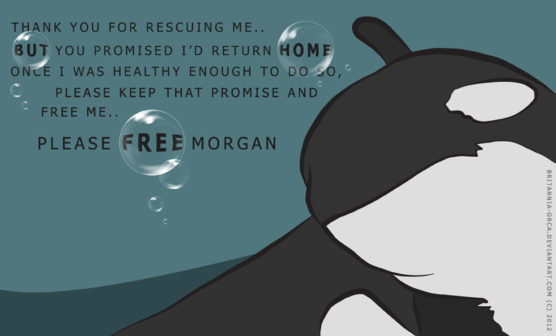 Free Morgan Vector style banner..