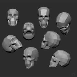 Skull 3D sketch