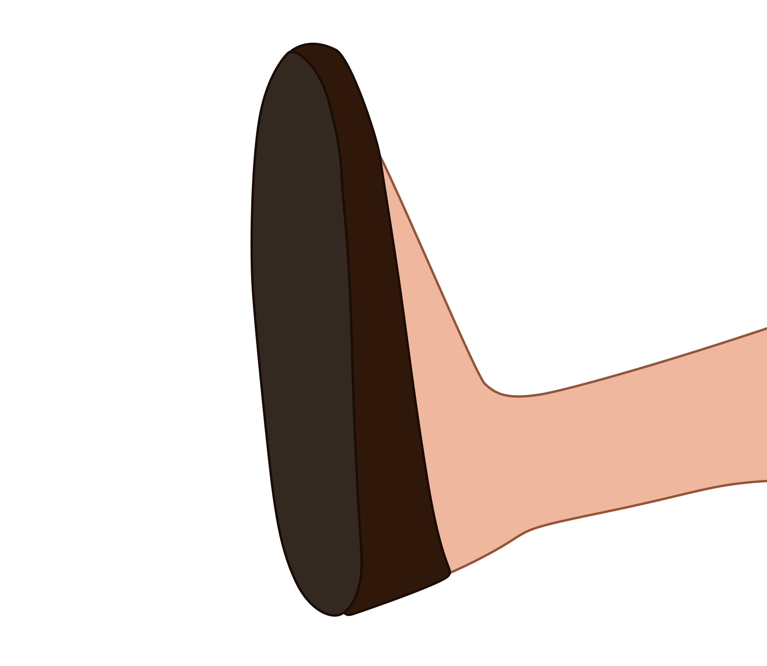 Brown Shoes The Beast Land 37