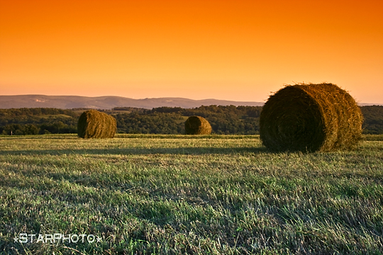 Calm of the Country