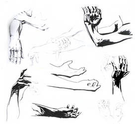 Study: Hands