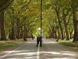 Autumn in Hyde Park