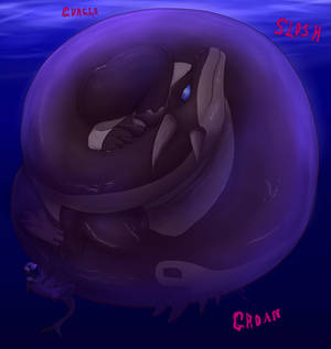 The SEAL that eats Sea Dragons(internal)[Com]