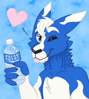 Pocari Roo Digitigrate Explore the Best Pocari Art | DeviantArt