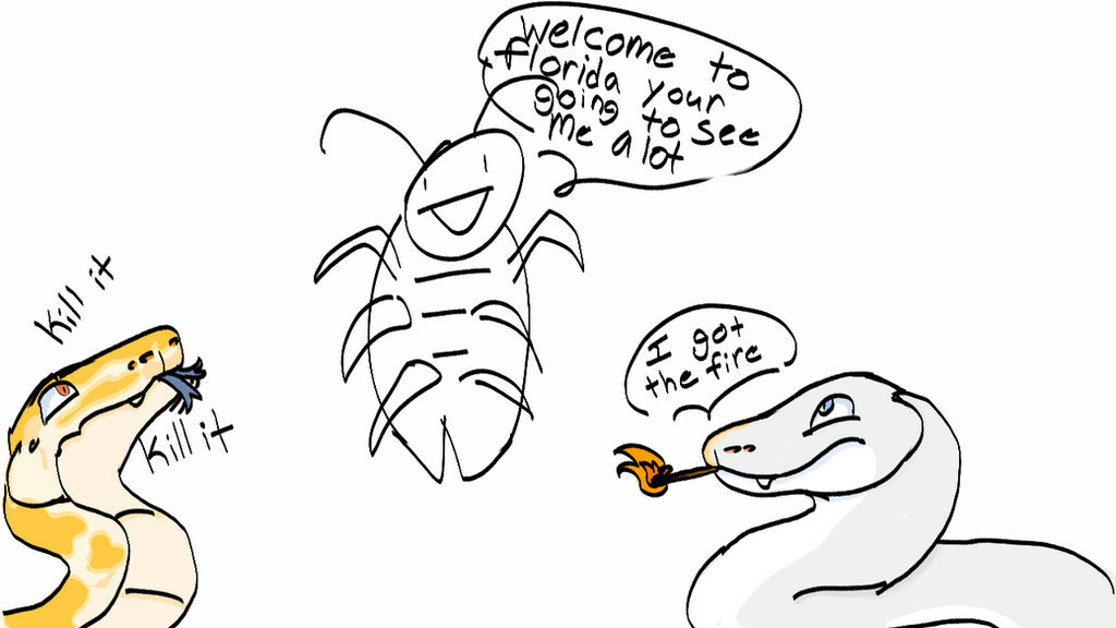 Burmese pythons vs palmetto bug by tgray9937 on DeviantArt