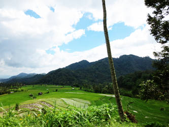 kampung halaman