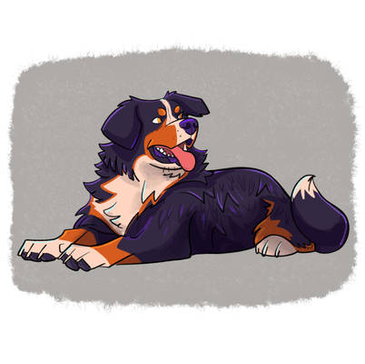 Doggust 2023 - Burmese Mountain Dog