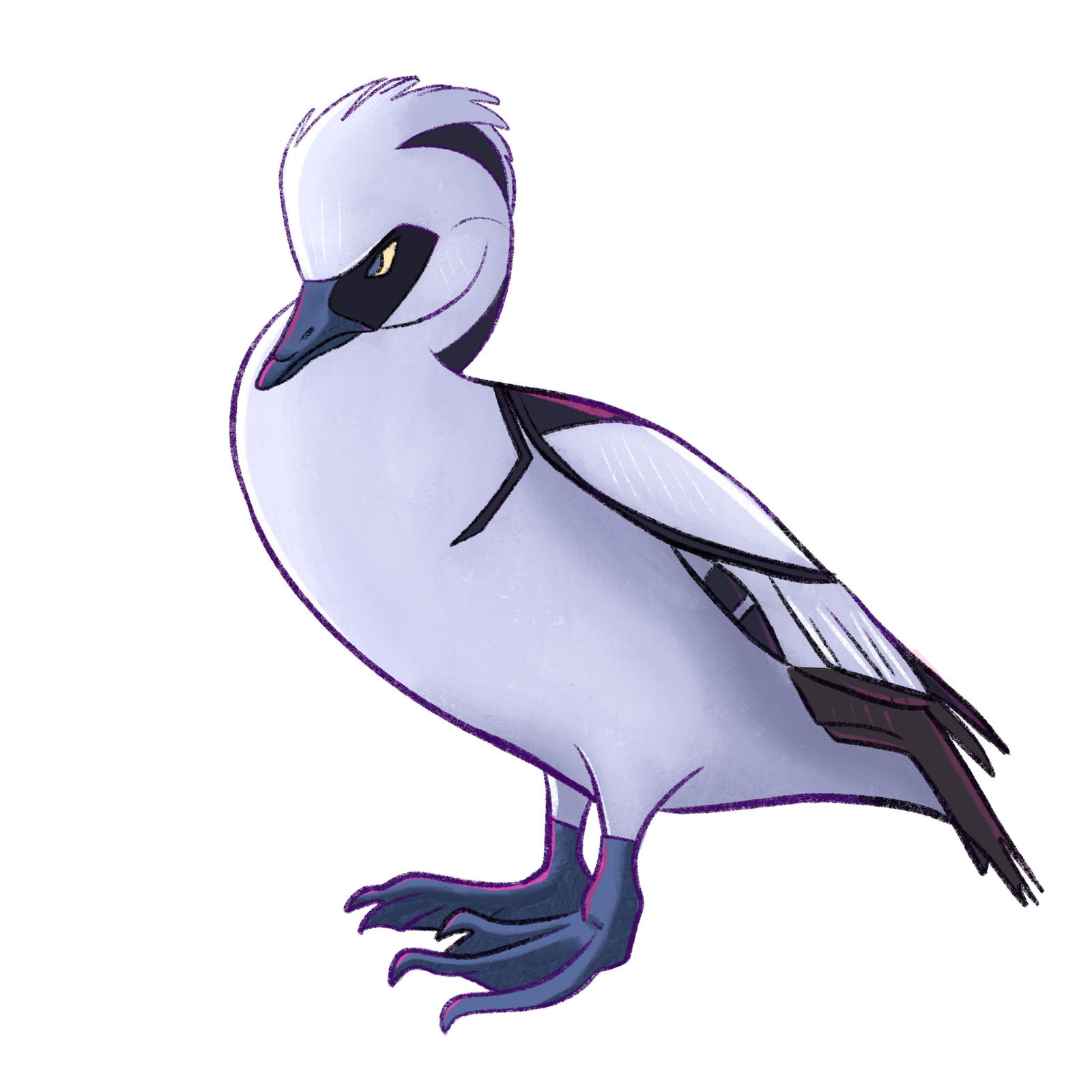 Smew Drawing Brrrdcember 2023 - Smew by BingyBongo on DeviantArt