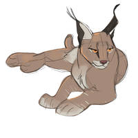 FebROARY 19 - Caracal