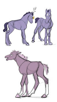 Foal Sketches