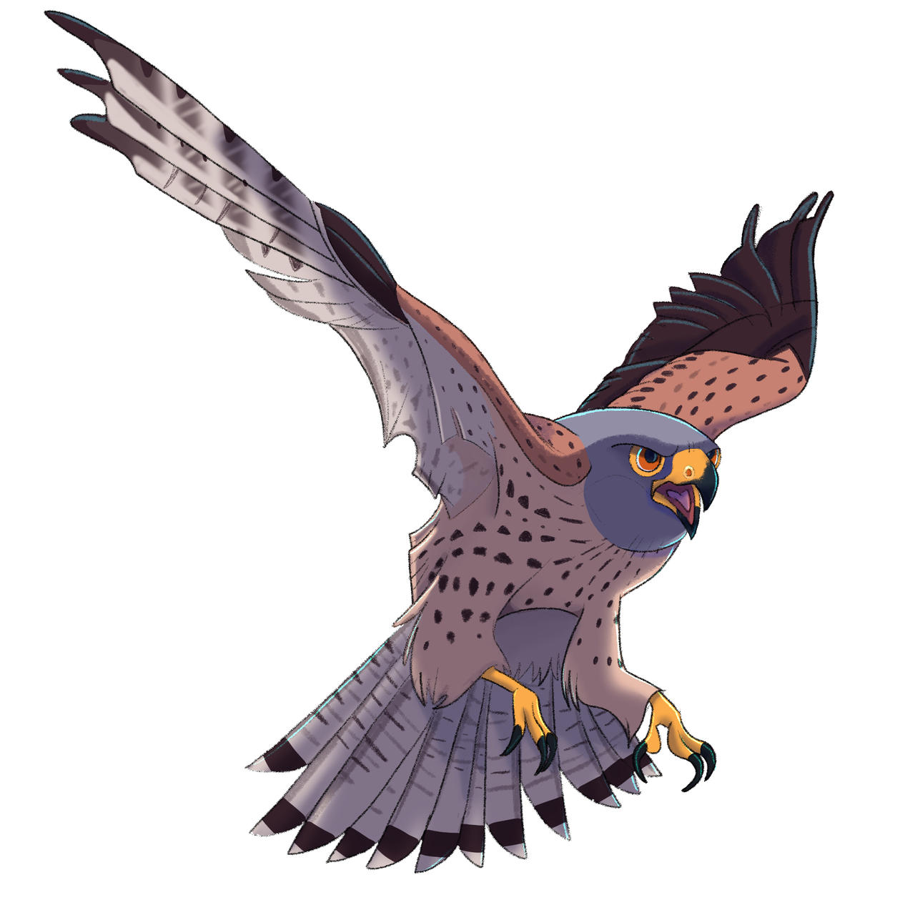 Brrrdcember 2024 - Eurasian Kestrel by BingyBongo on DeviantArt