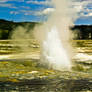 Geyser #2