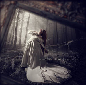 The struggle within by sara-hel The struggle within by sara-hel
