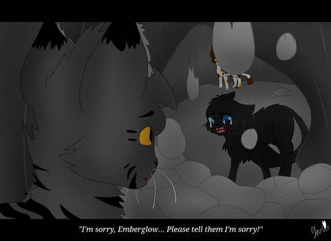 Boulderpaw's Disappearance