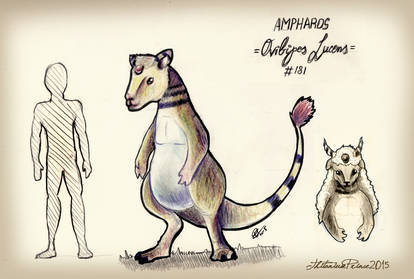 Ampharos - Ovibipes Lucens