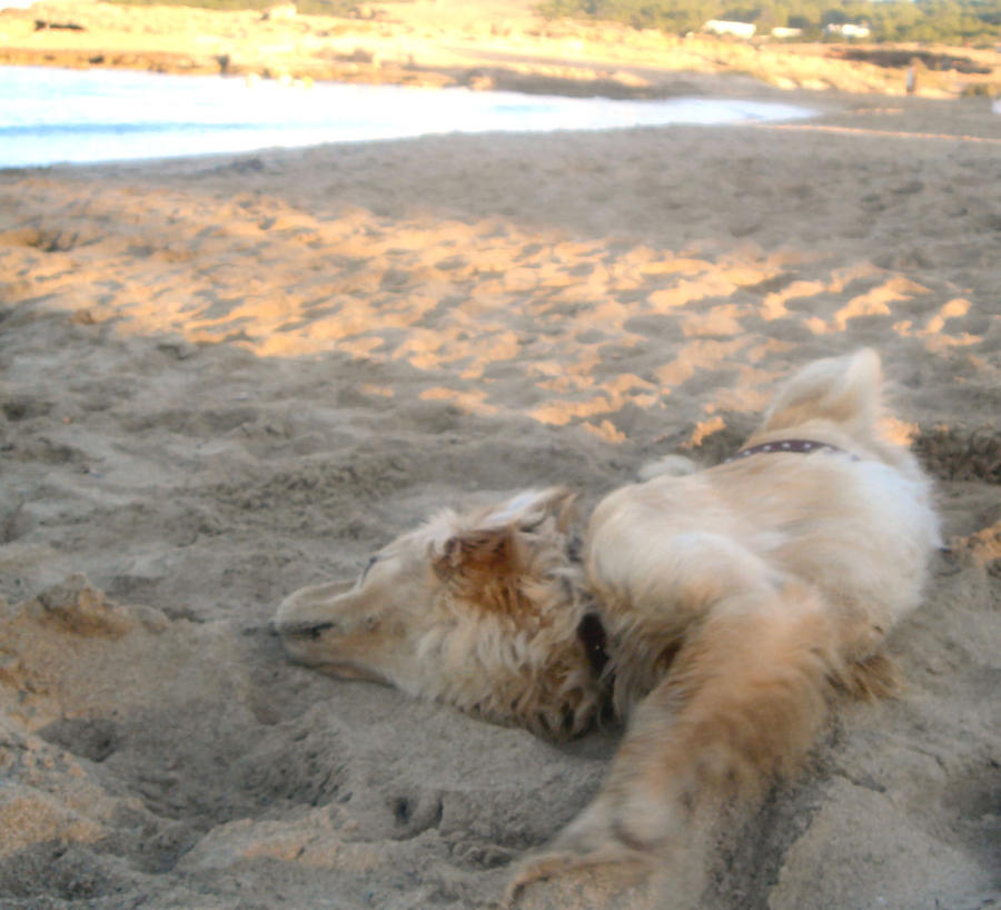 Beach stretching