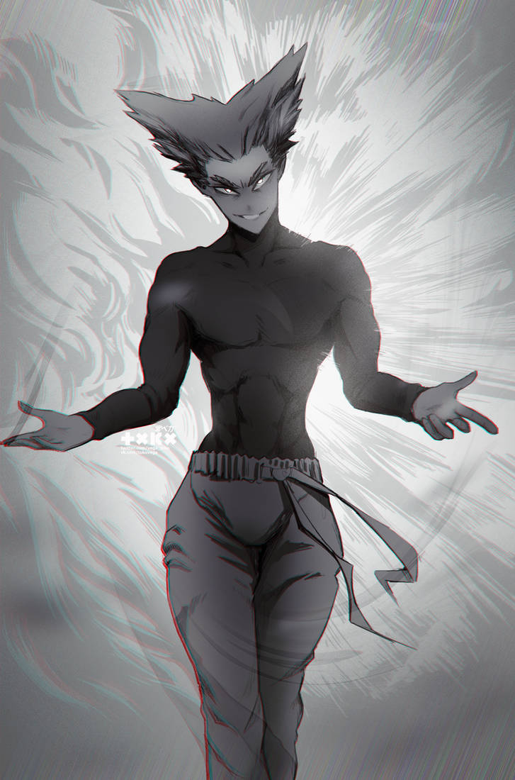 Garou Ragdoll Garou by toko-vega on DeviantArt