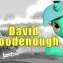 David Goodenough  (video)