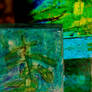 Encaustic Glass