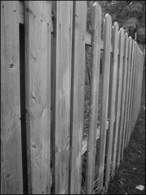 Wooden Fence