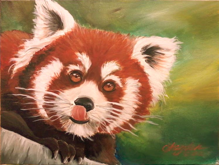 Red Panda