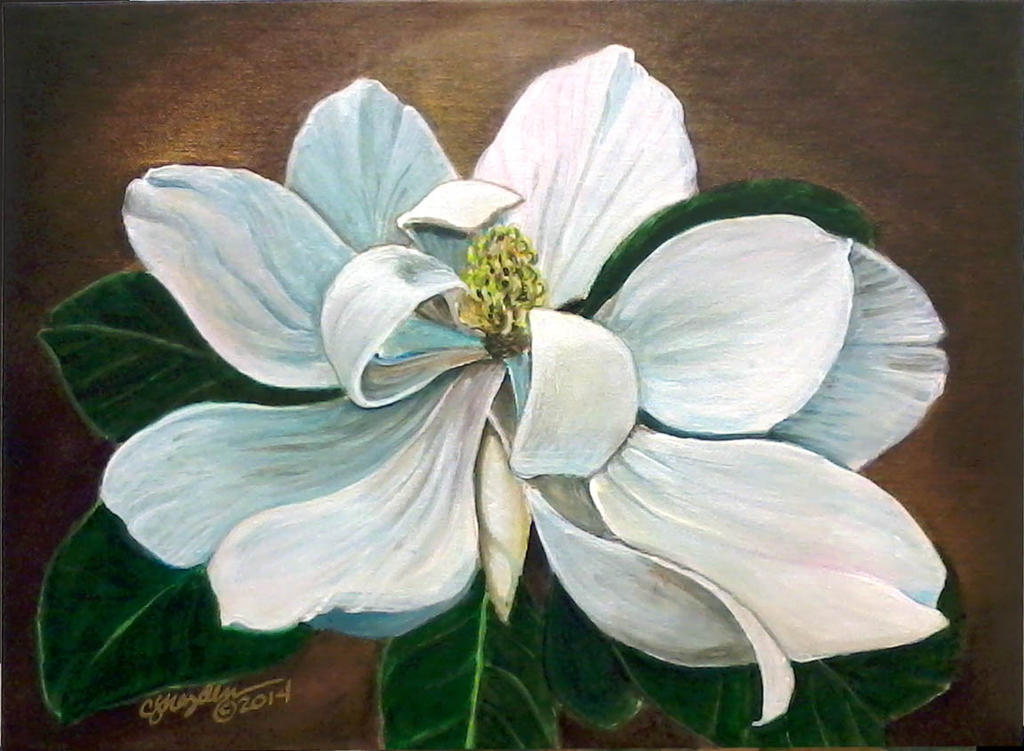 Magnolia