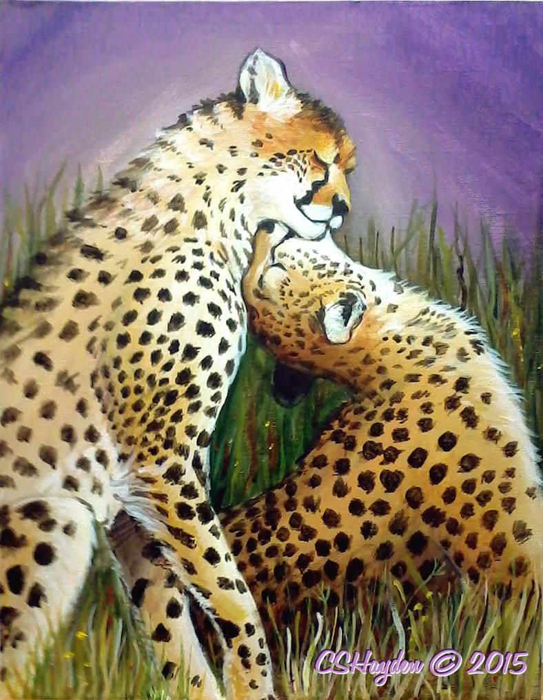 Cheetah Love