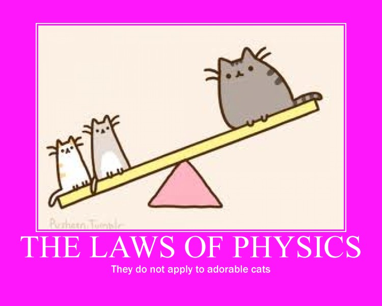 Cats and Physics