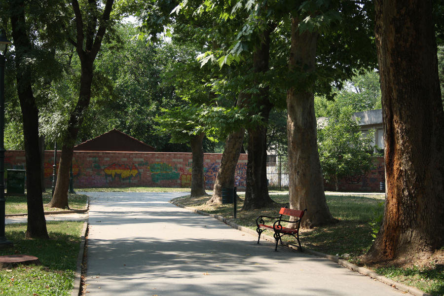 City Park