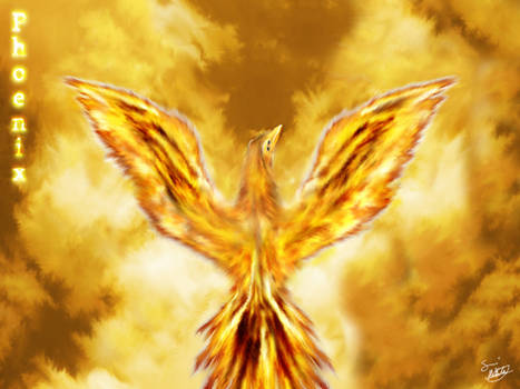 Phoenix