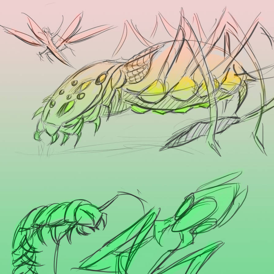 Insect Deviantart Insect study by ArtbyHerpes on DeviantArt