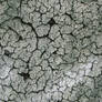 Grey Crackle Texture