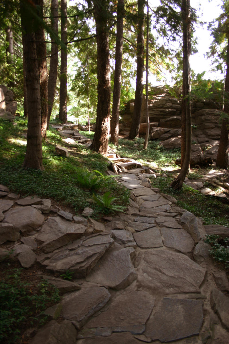 Forest Path 2 by FoxStox