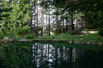 Ohme Garden Pond 1