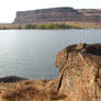 River Rock Perch