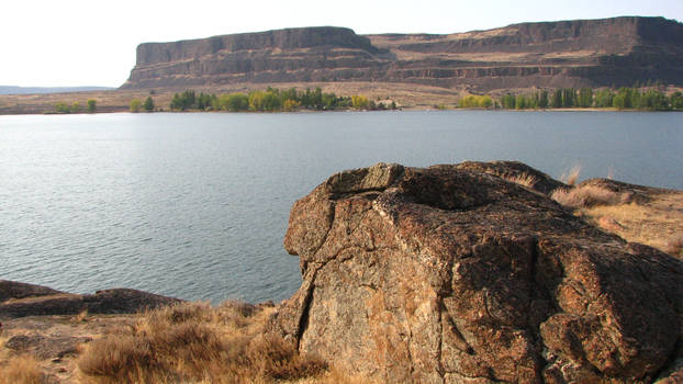 River Rock Perch