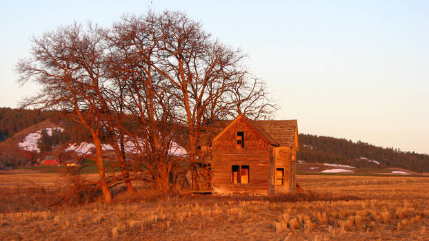 Abandoned Farmhouse