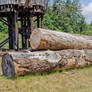 Big Wood