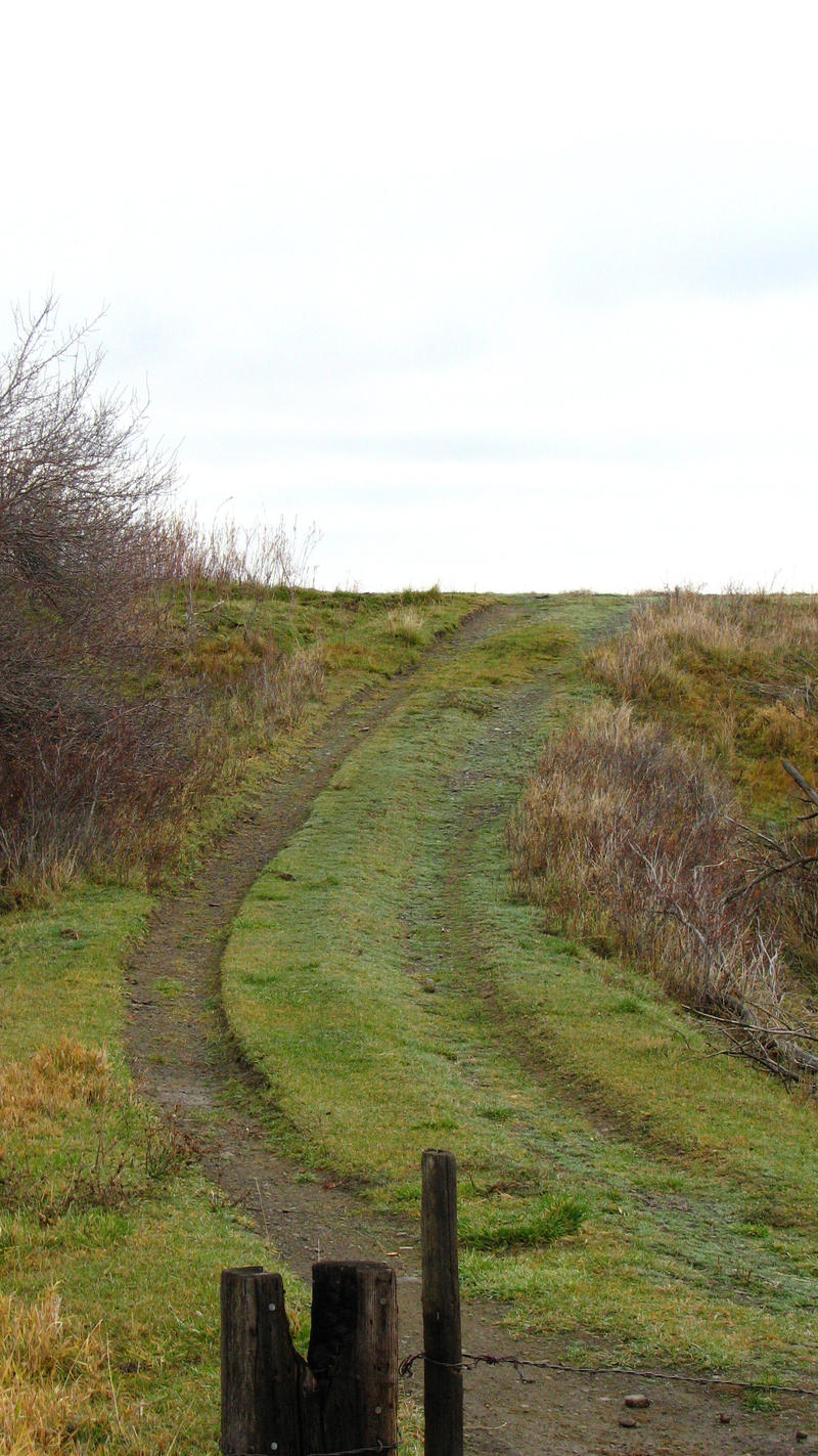 Dirt Road I