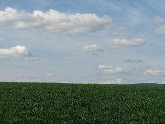 Green Grass, Cloudy Sky