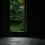 Bare Floor, Open Door