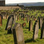 Whitby Abbey Graveyard 1