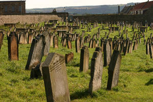 Whitby Abbey Graveyard 1