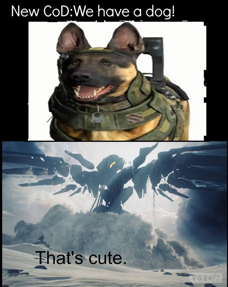CoD Dog Vs Halo War Sphinx