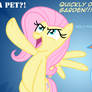 If Dash asks Fluttershy for a...