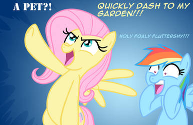 If Dash asks Fluttershy for a...