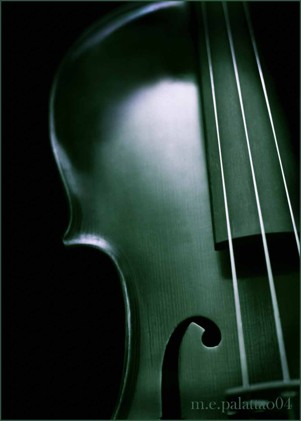 violin